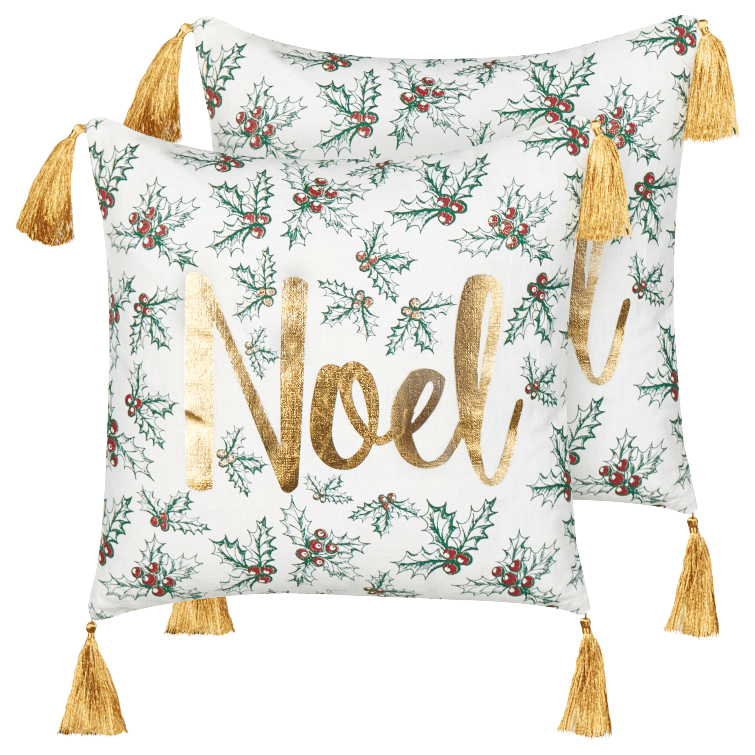 Koristetyynysetti 2 kpl ZAMIA puuvilla 45 x 45 cm Valkoinen Joulukuvio