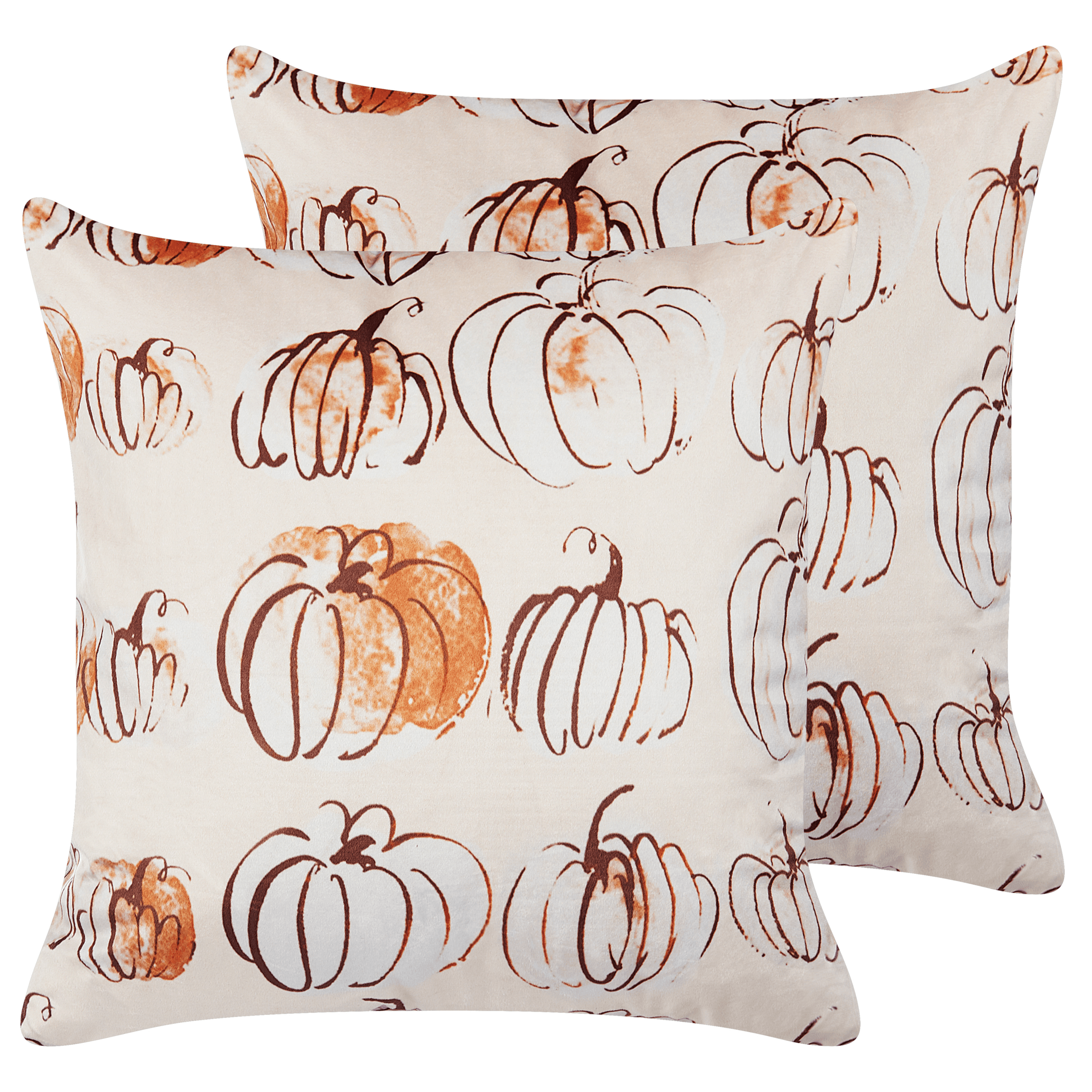 Koristetyynysetti 2 kpl CUCURBITA sametti 45 x 45 cm Beige Kasvikuvio