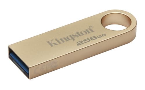 Kingston Datatraveler Se9 G3 256gb Usb-a Kulta – Kingston