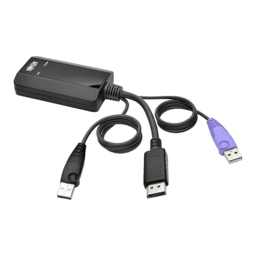 Eaton Netdirector Displayport Usb Server Interface Unit (b064-ipg Series) – Eaton