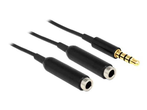 Delock 65575 Audiokaapeli 0,25 M 3.5mm 2 X 3.5mm Musta 0.25m 3,5mm 2 X 3,5mm – Delock