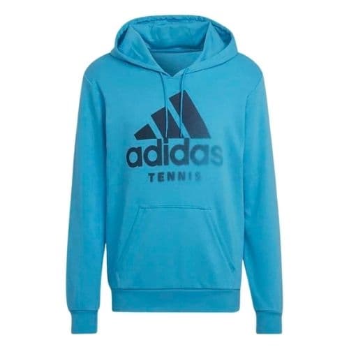 Adidas Category Graphic Hoodie App Sky Rush – Adidas