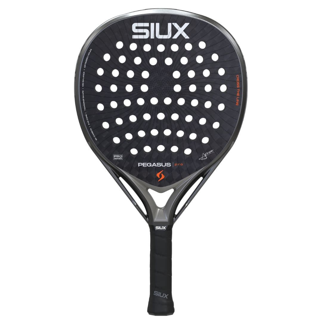 Siux Pegasus Pro 2026 – Siux