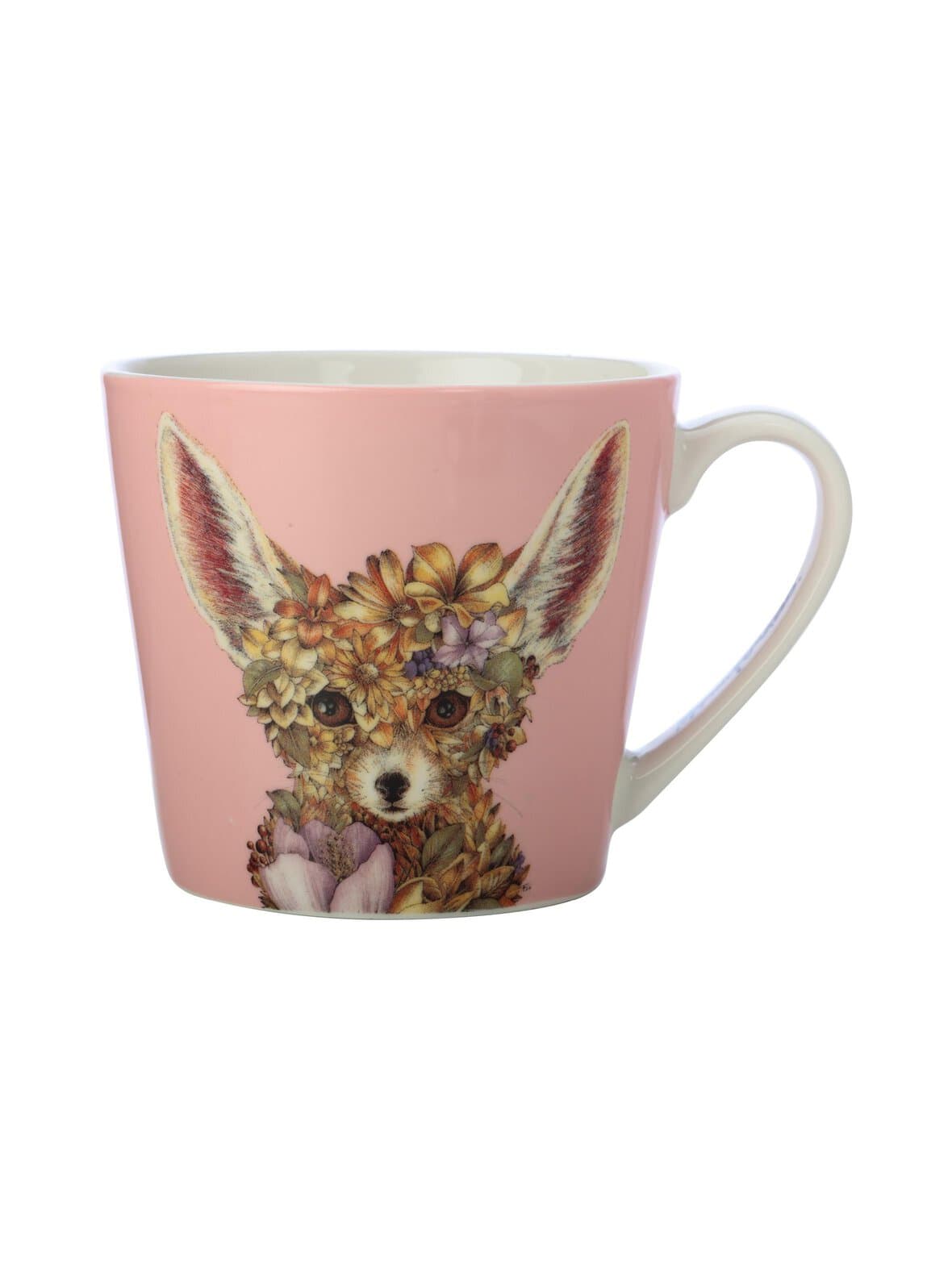 Wild planet fennec fox -muki – Maxwell Williams