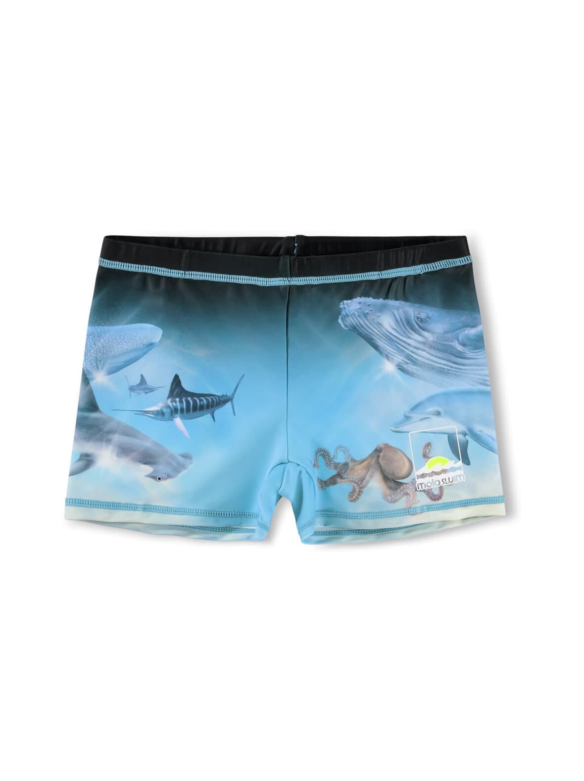 Norton placed -uimahousut – Molo