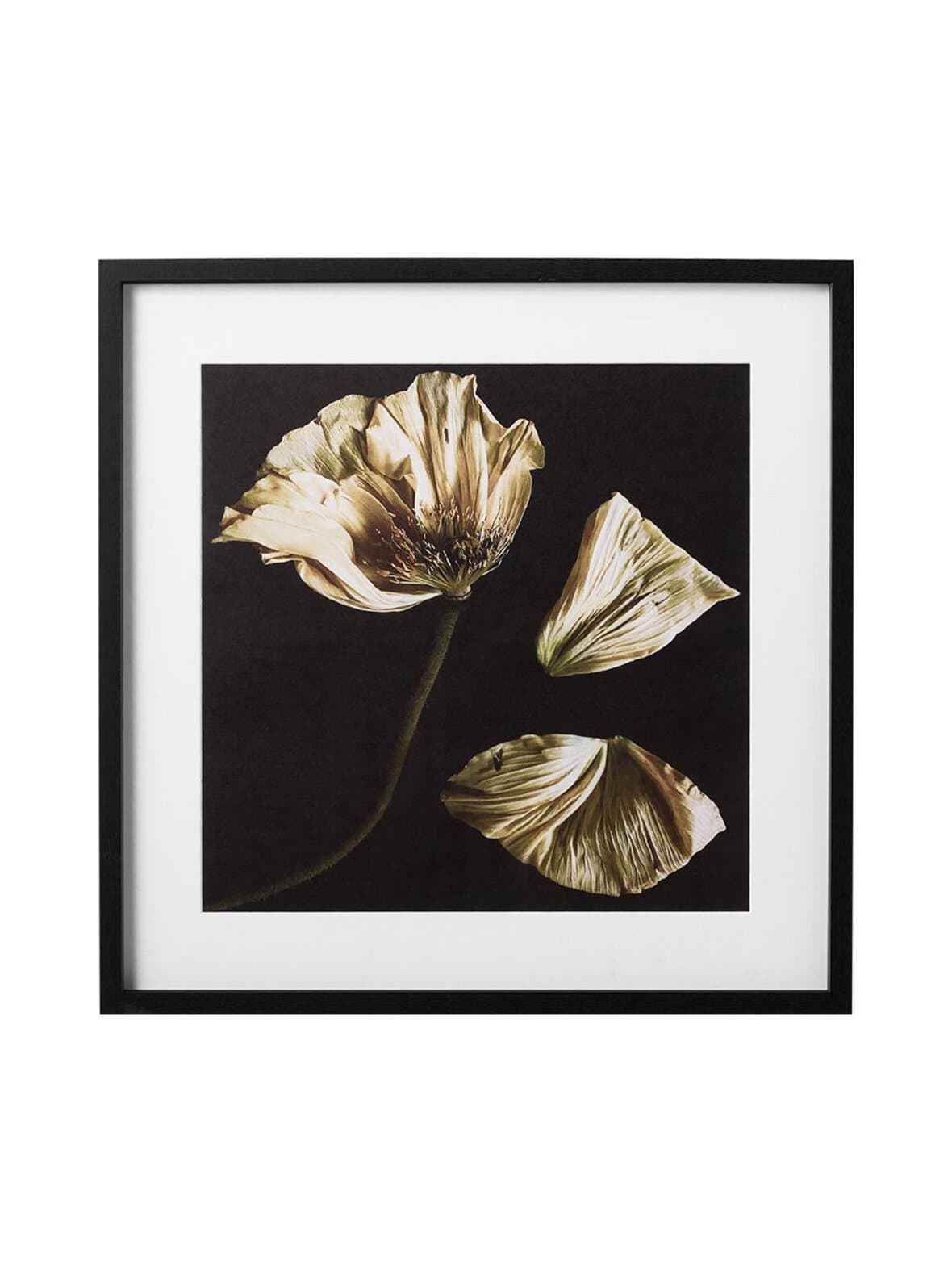 Flora 8 -taulu mustavalkoinen / pastellinkeltainen 70 x 70 cm – BoConcept