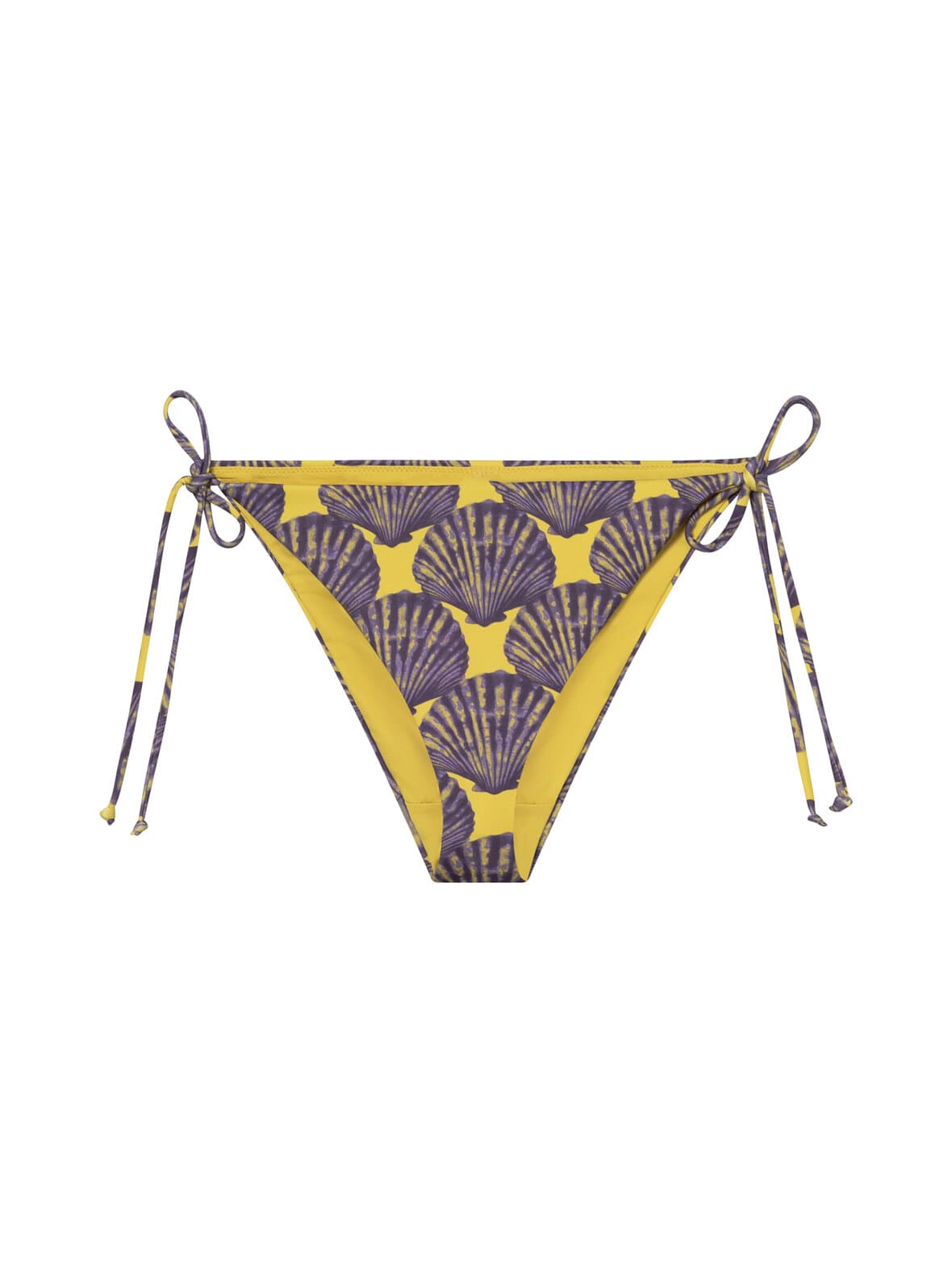 Gopa seashell -bikinialaosa – Dedicated