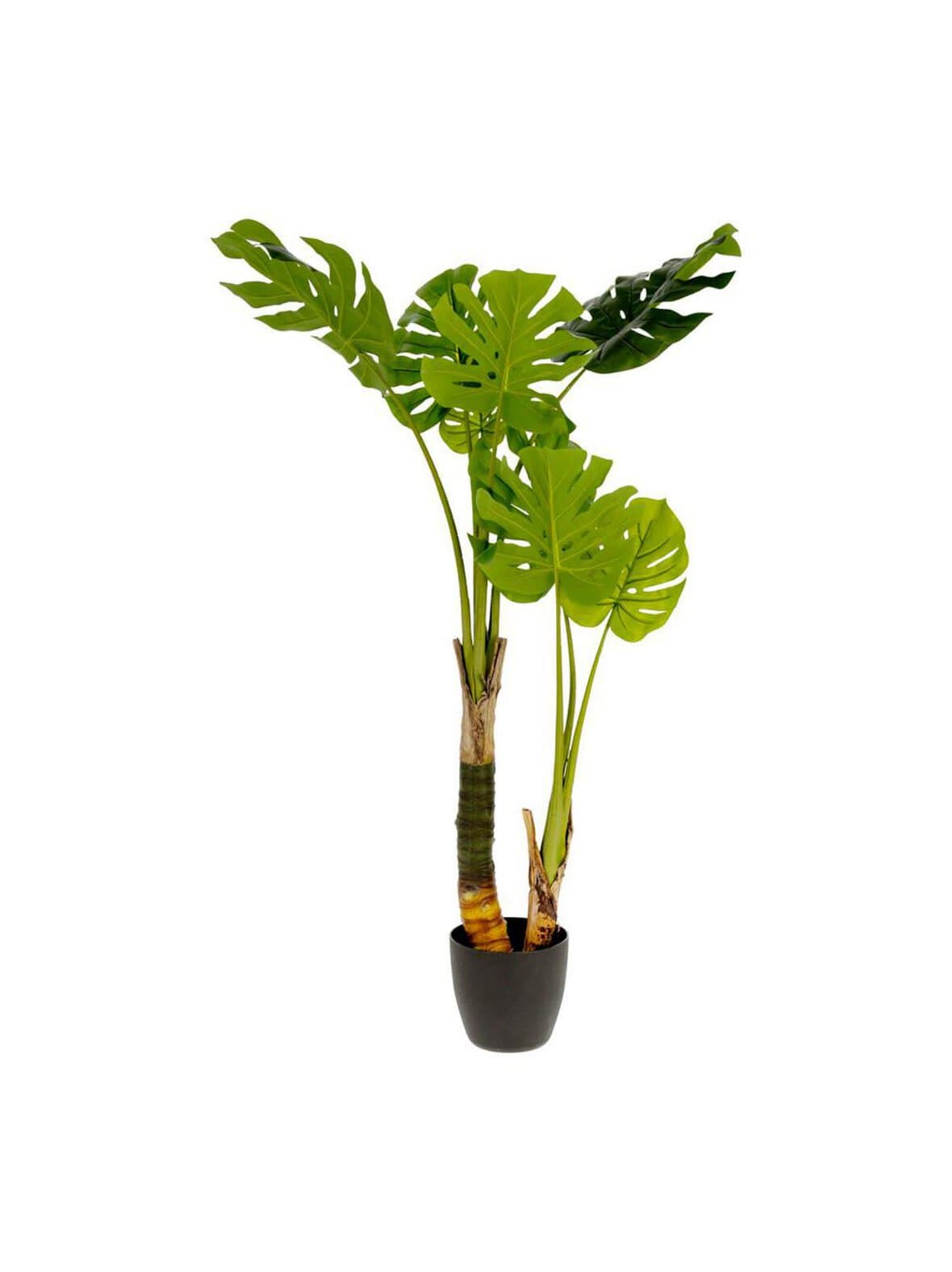 Monstera-tekokasvi k 130 cm – Kave Home