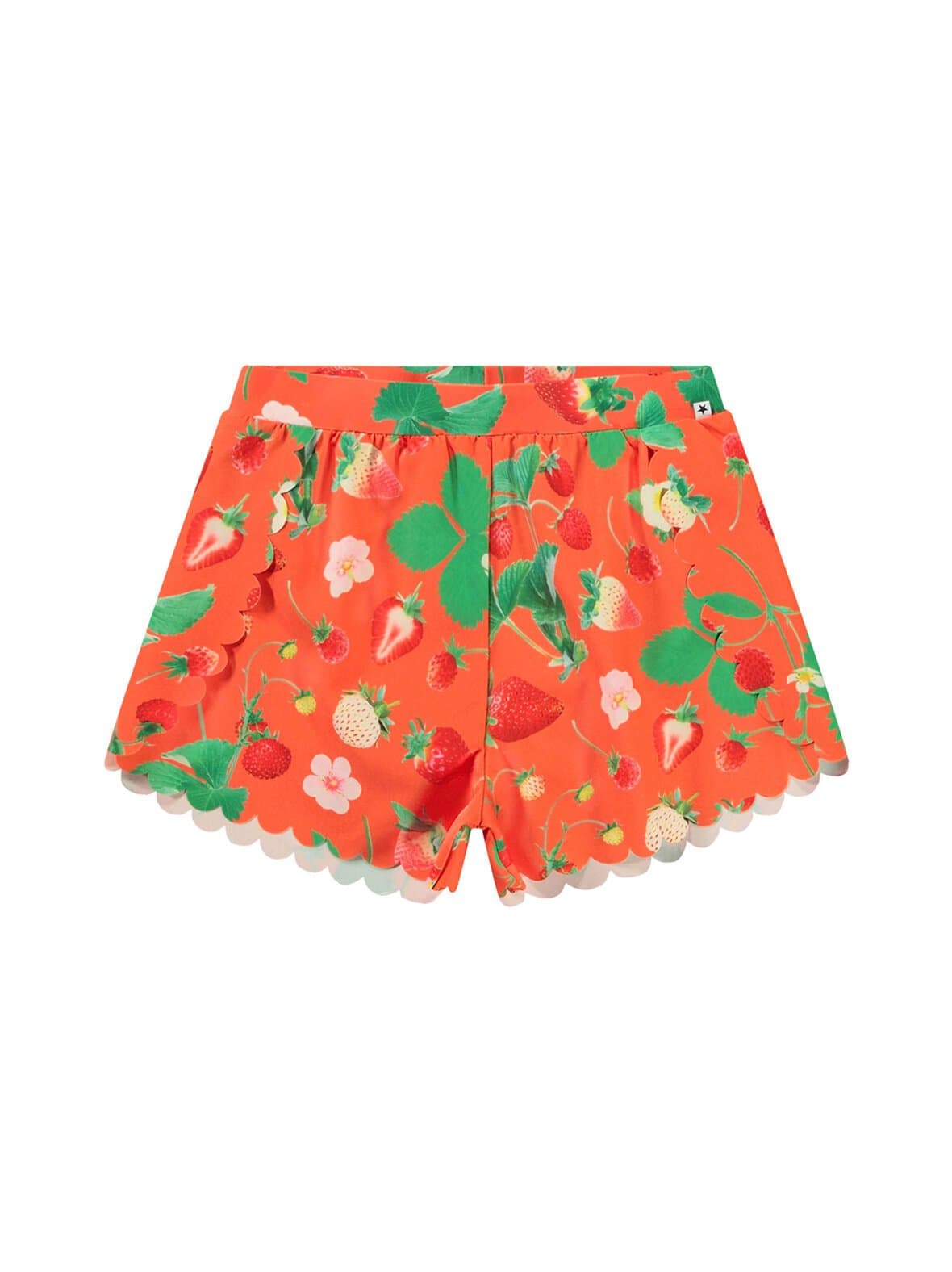 6-uimashortsit – Molo