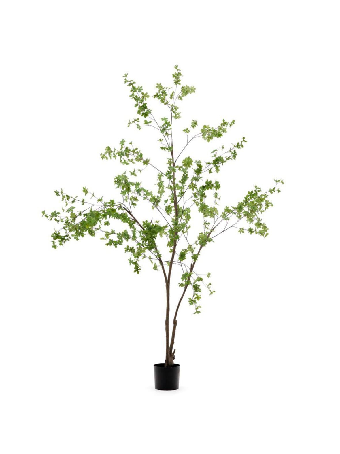 Enkianthus-tekokasvi k 214 cm – Kave Home