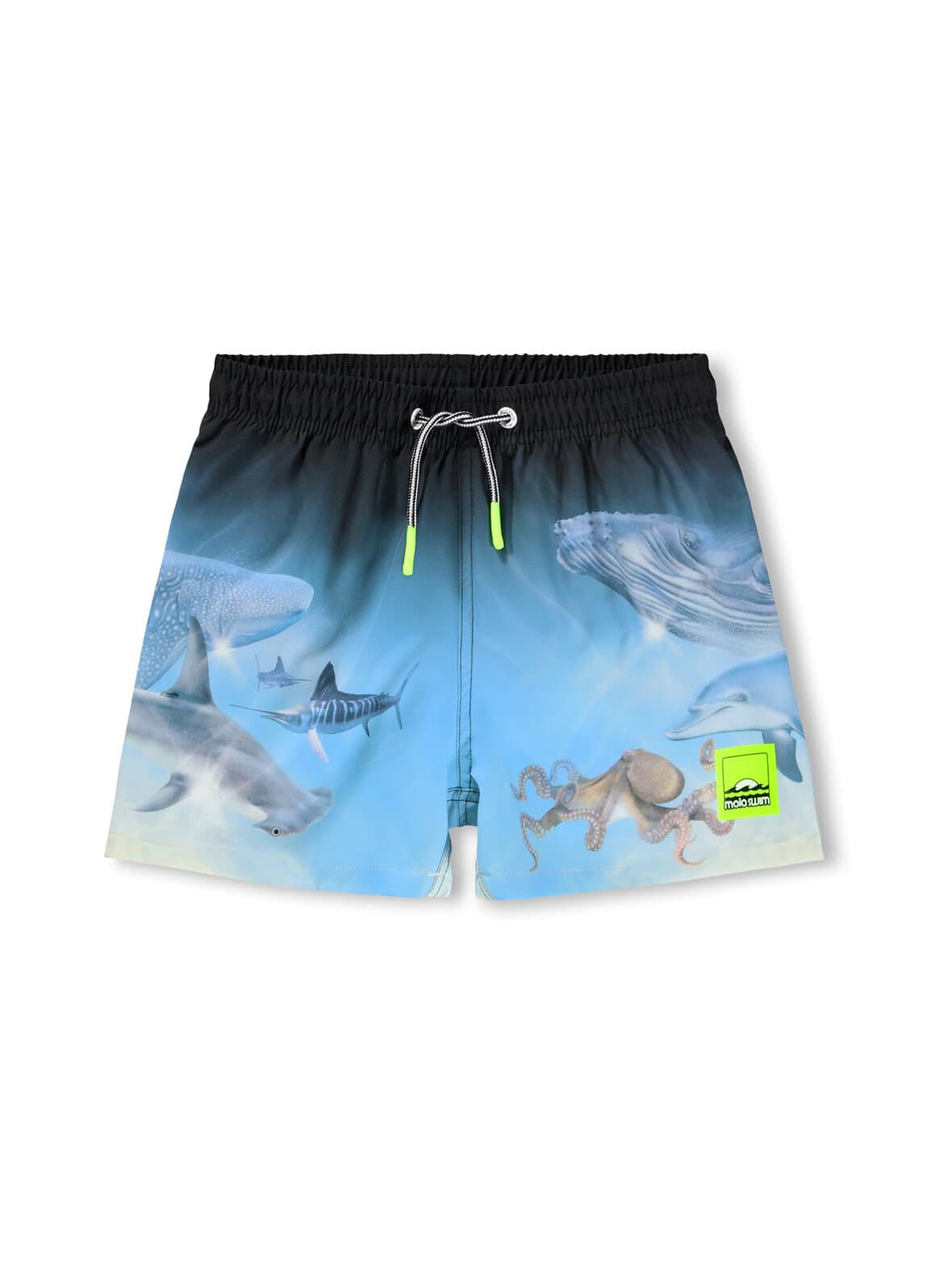 Niko-uimashortsit – Molo