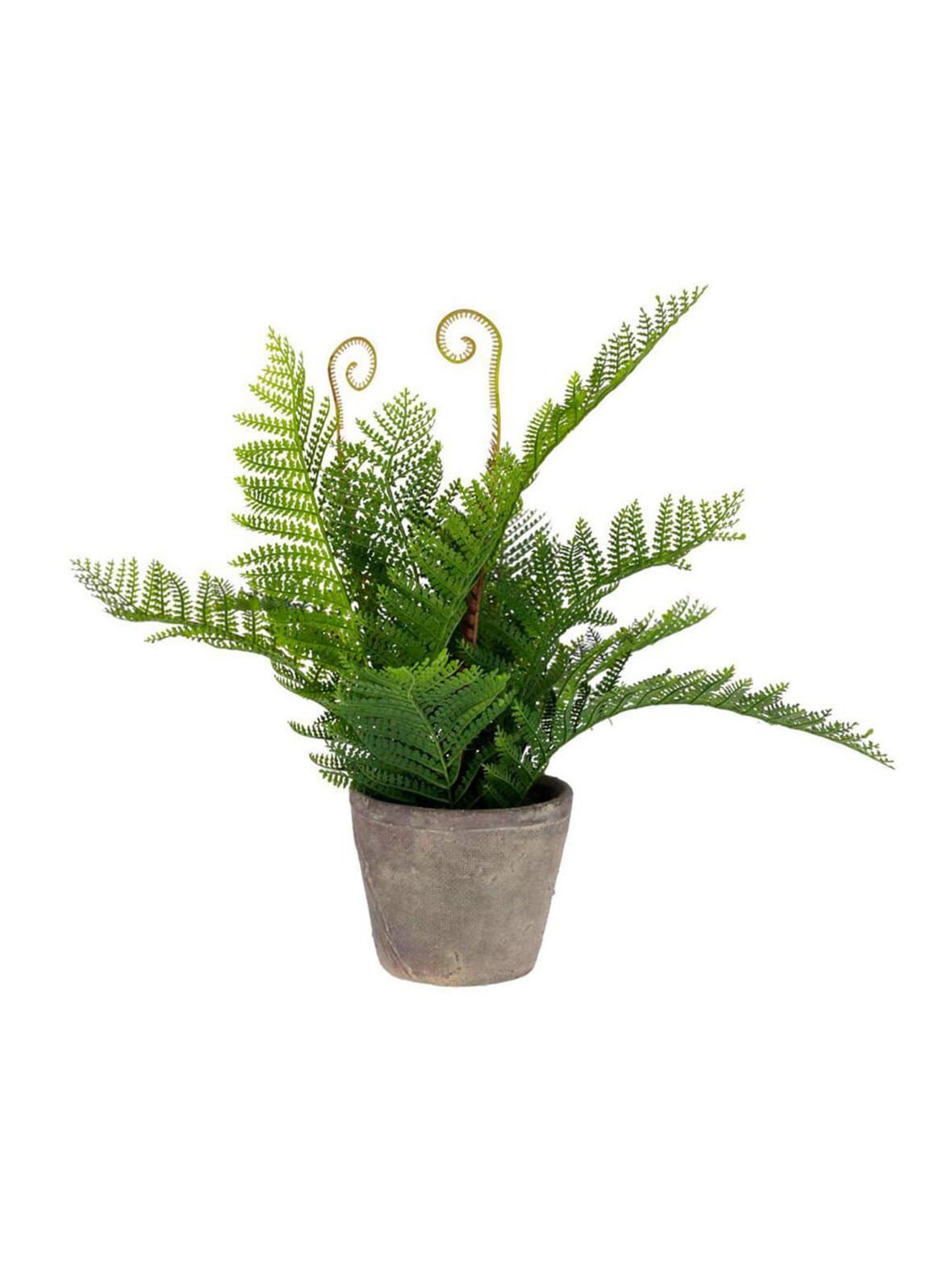 Filicopsida-tekokasvi k 35 cm – Kave Home