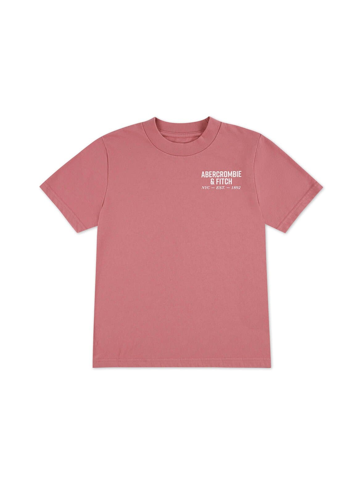 Nyc logo t-paita – Abercrombie & Fitch