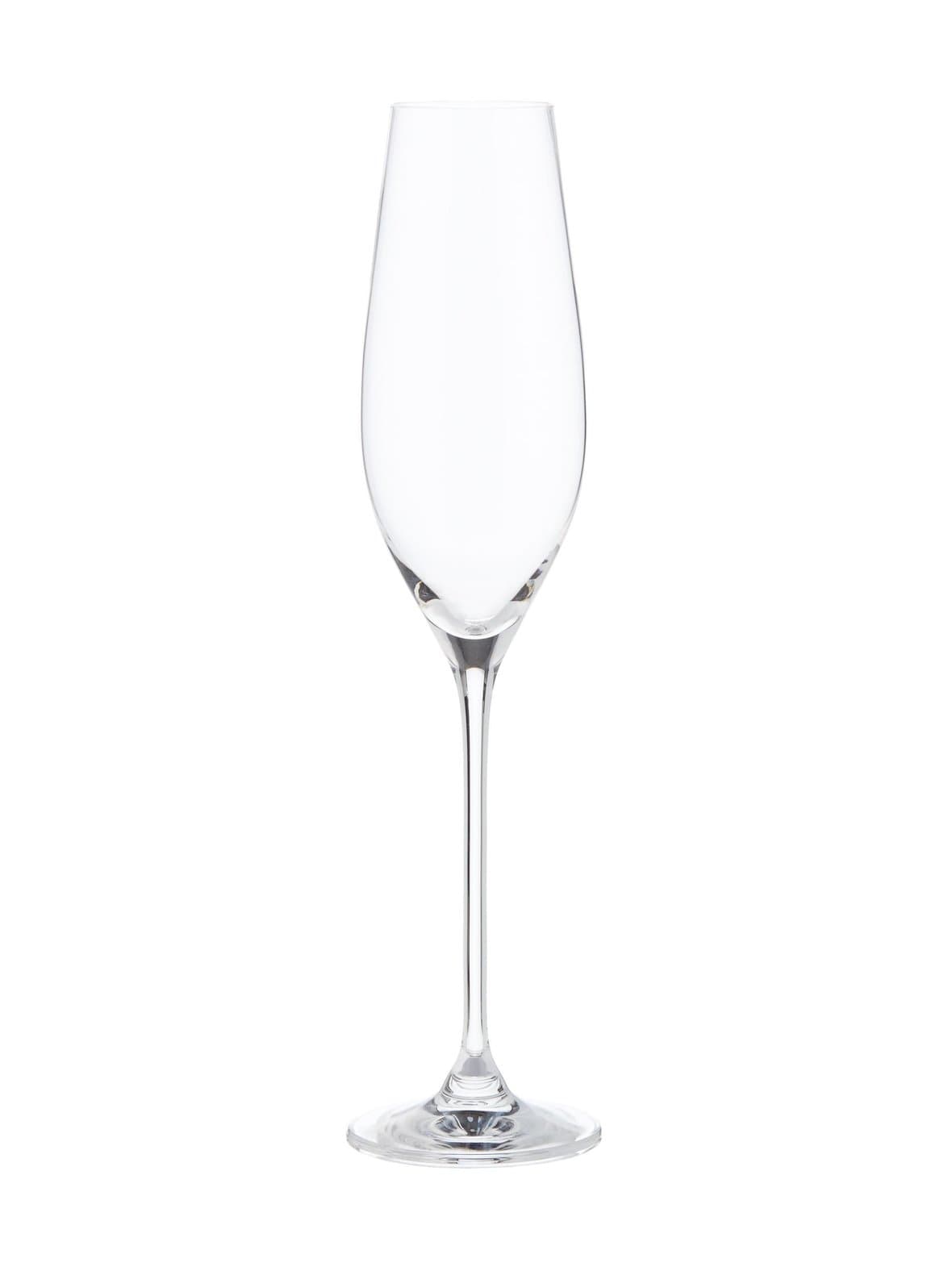 Stile-kuohuviinilasi 210 ml – Casa Stockmann