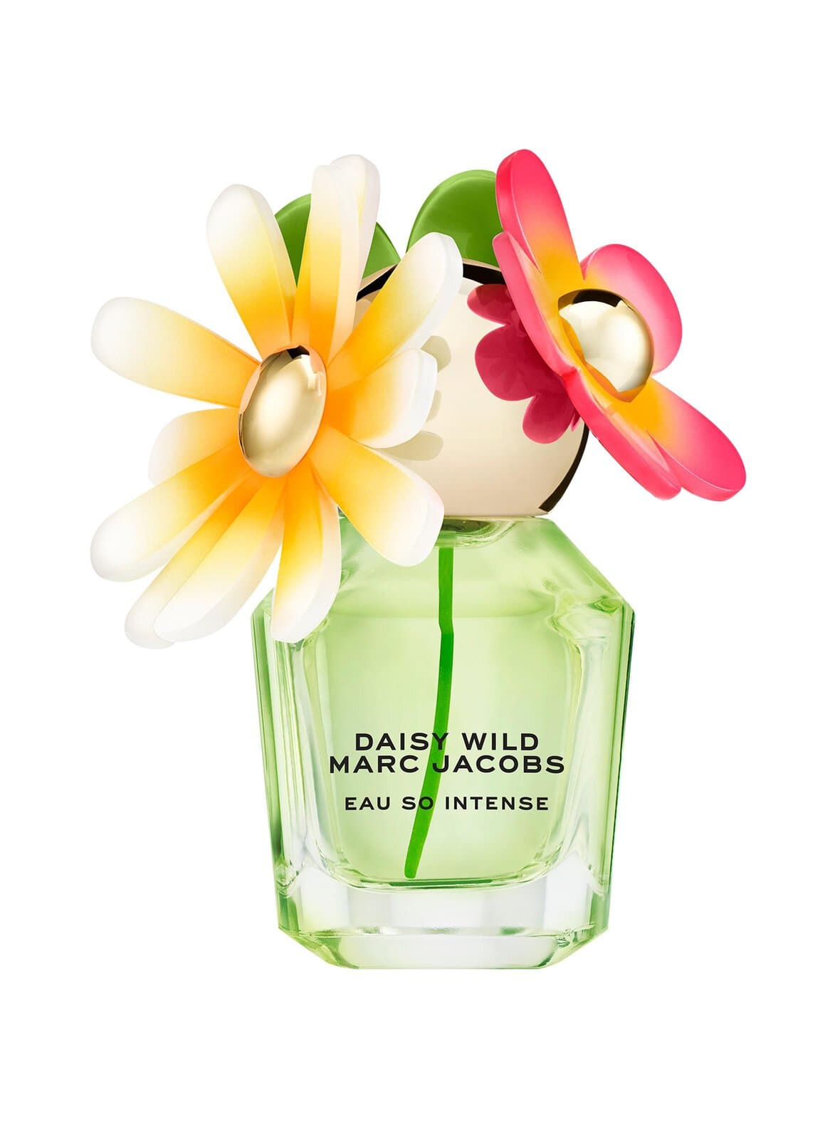 Daisy wild eau so intense edp -tuoksu – Marc Jacobs