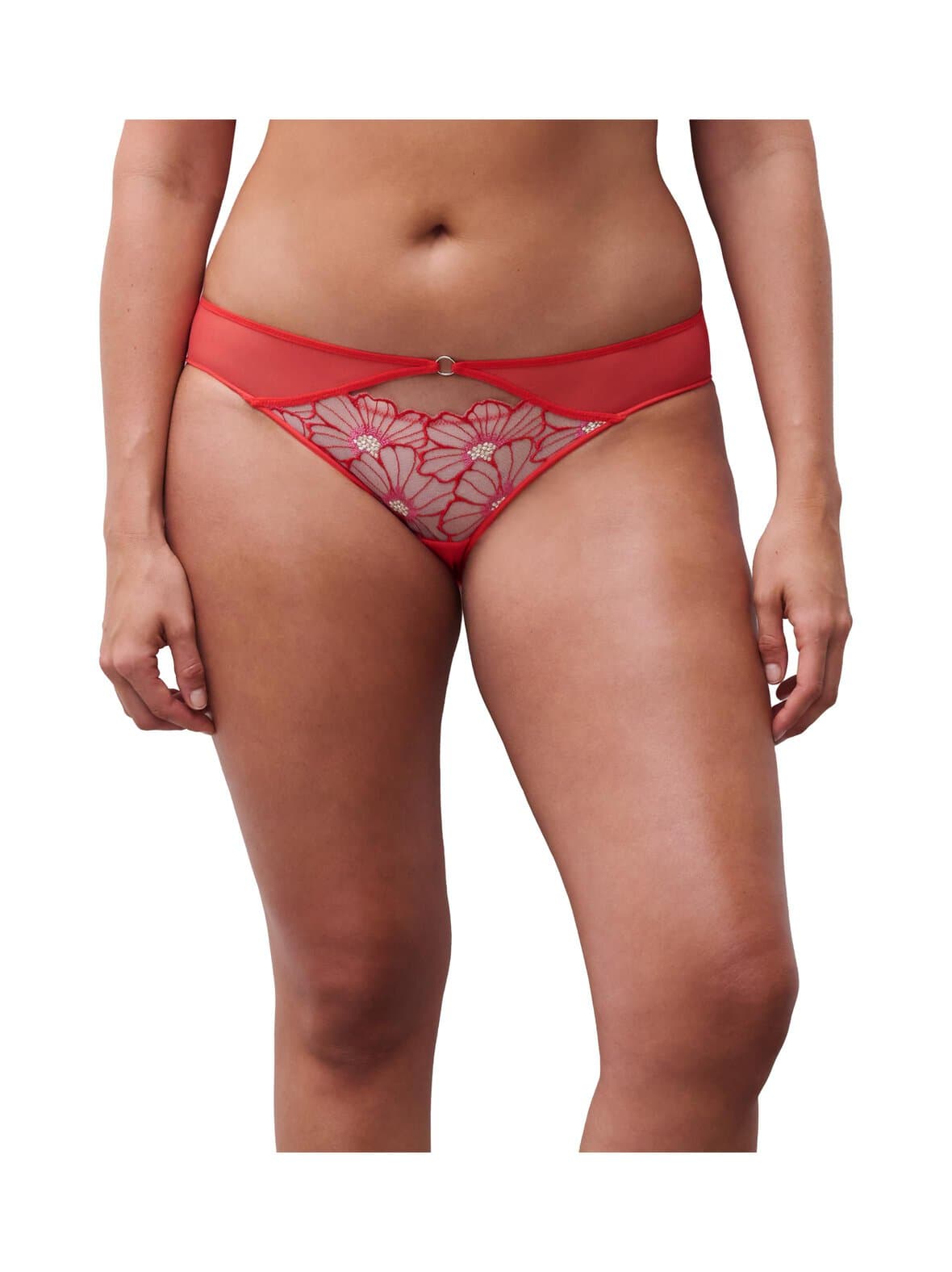 Lush brief standard -alushousut – chantelle pulp