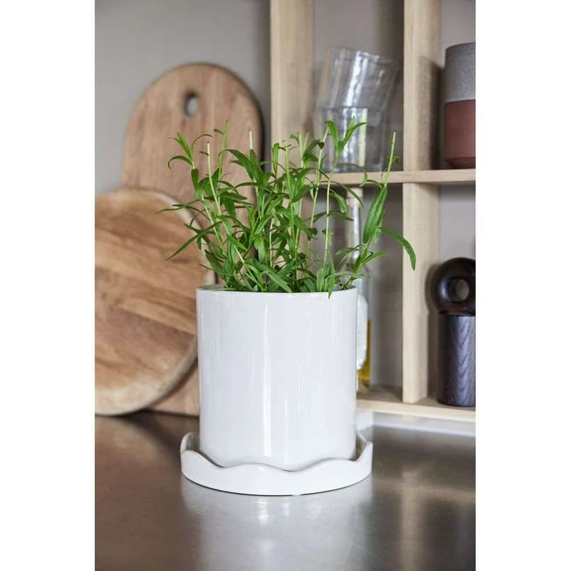 OYOY Living Design - Nami-kasvipotti, pieni, valkoinen – – OYOY Living Design