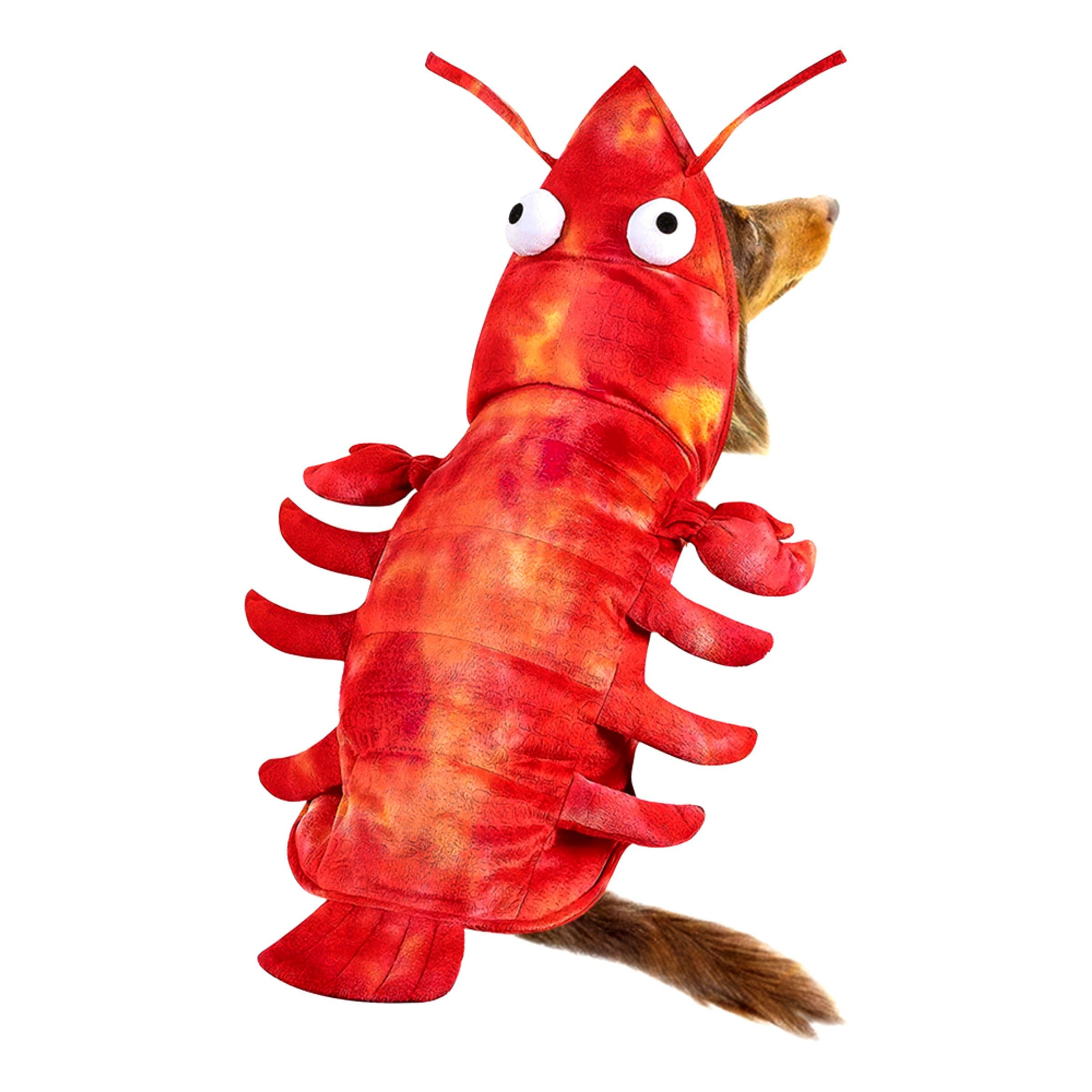 Hummeri Naamiaisasu Koirille - One size – Catsson