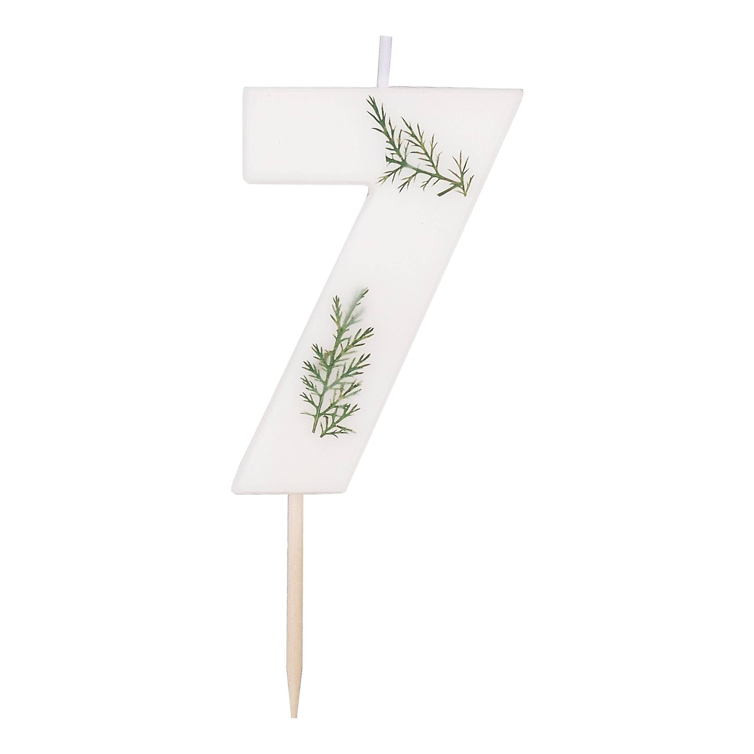 Kakkukynttilä Numero Kuusenversoilla - Numero 7 – Ginger Ray