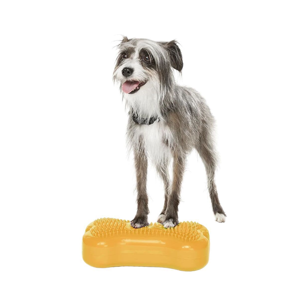 FitPaws K9FitBone Mini, 29 x 17 x 7 cm, 2 kpl – FitPaws