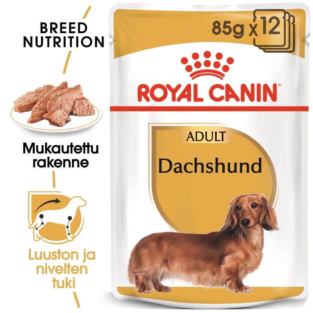 Royal Canin Dachshund Wet 12x85g – Royal Canin