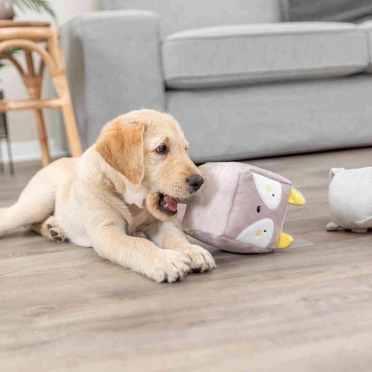 Trixie Junior Kettukuutio 13 cm – Trixie