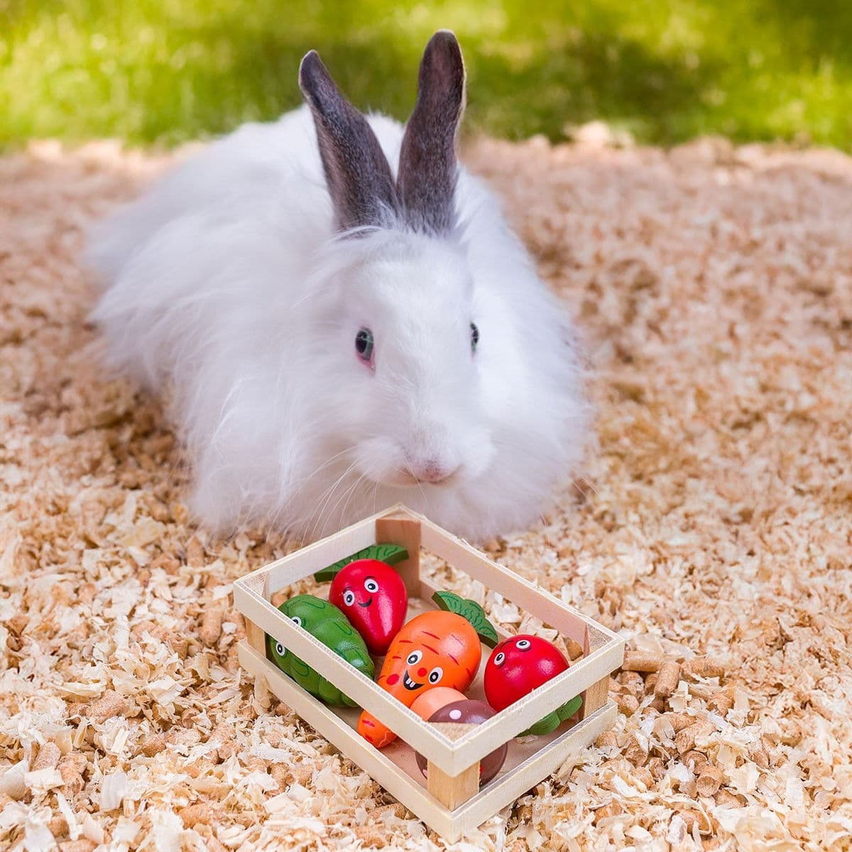 Quapas! Kasvislaatikko – Quapas!