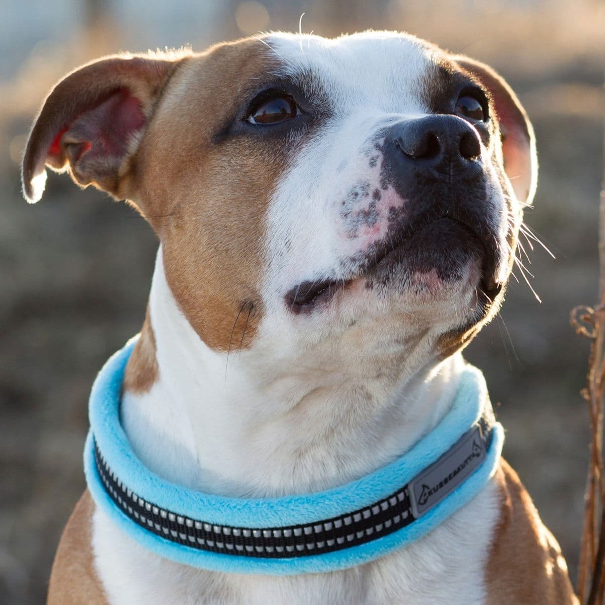 Panta Kusse&Kutta, turkoosi – Kusse & Kutta