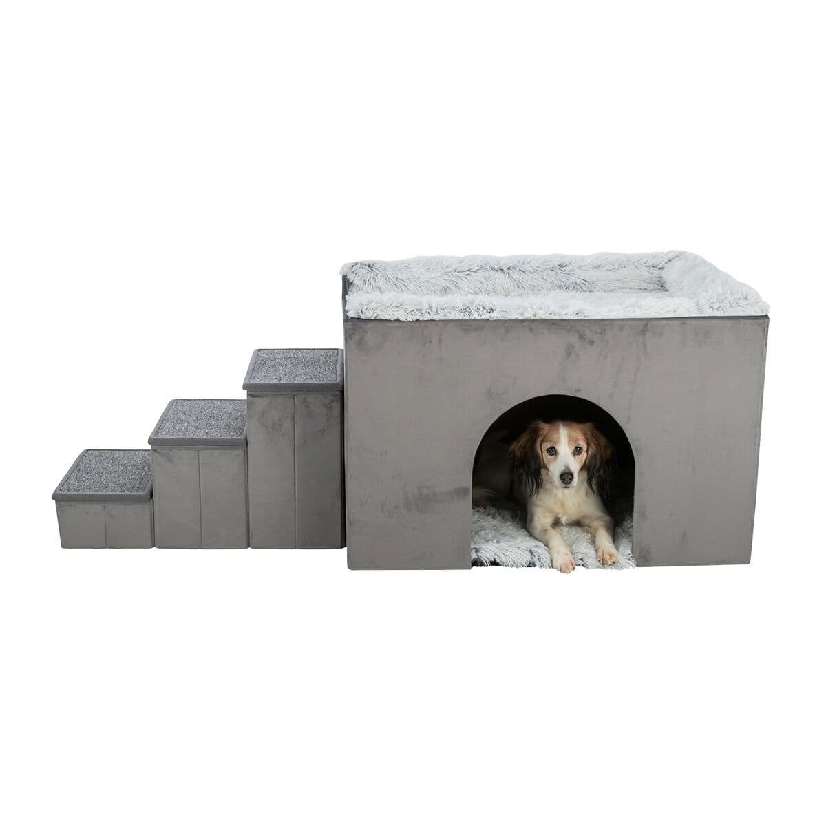 Trixie Harvey luolapeti portailla – Trixie