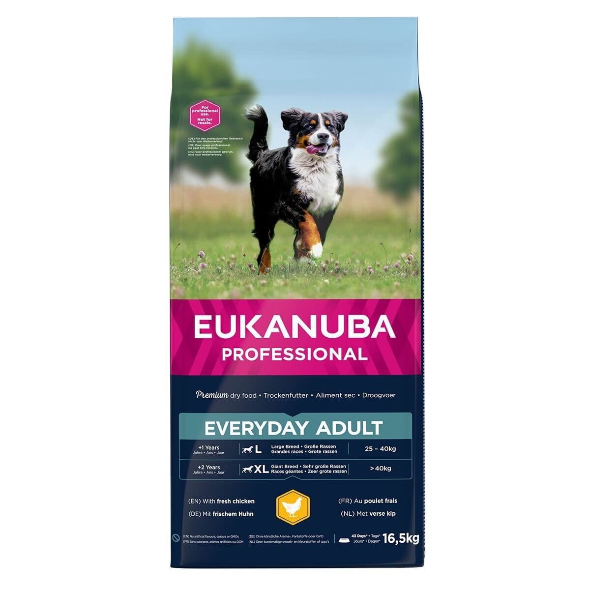 Eukanuba EveryDay Adult Large 16,5 kg – Eukanuba