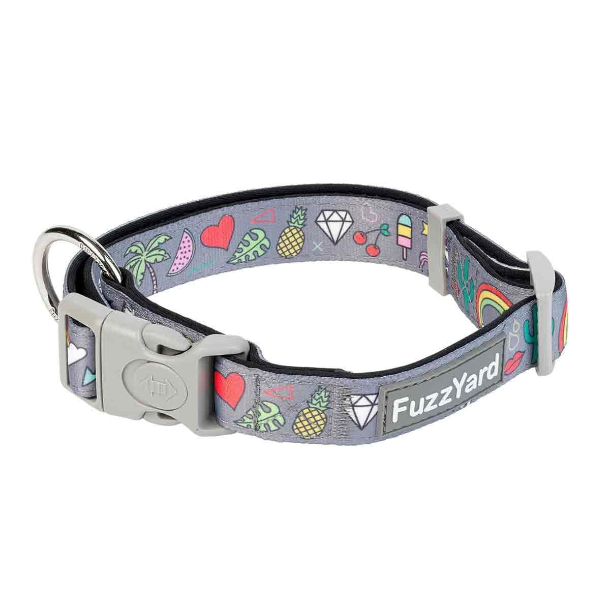 FuzzYard koiran kaulapanta Coachella – FuzzYard
