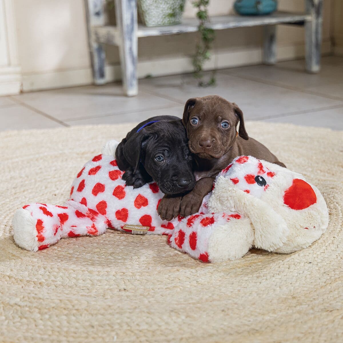 Beeztees Cuddle Toy Suki XL – Beeztees