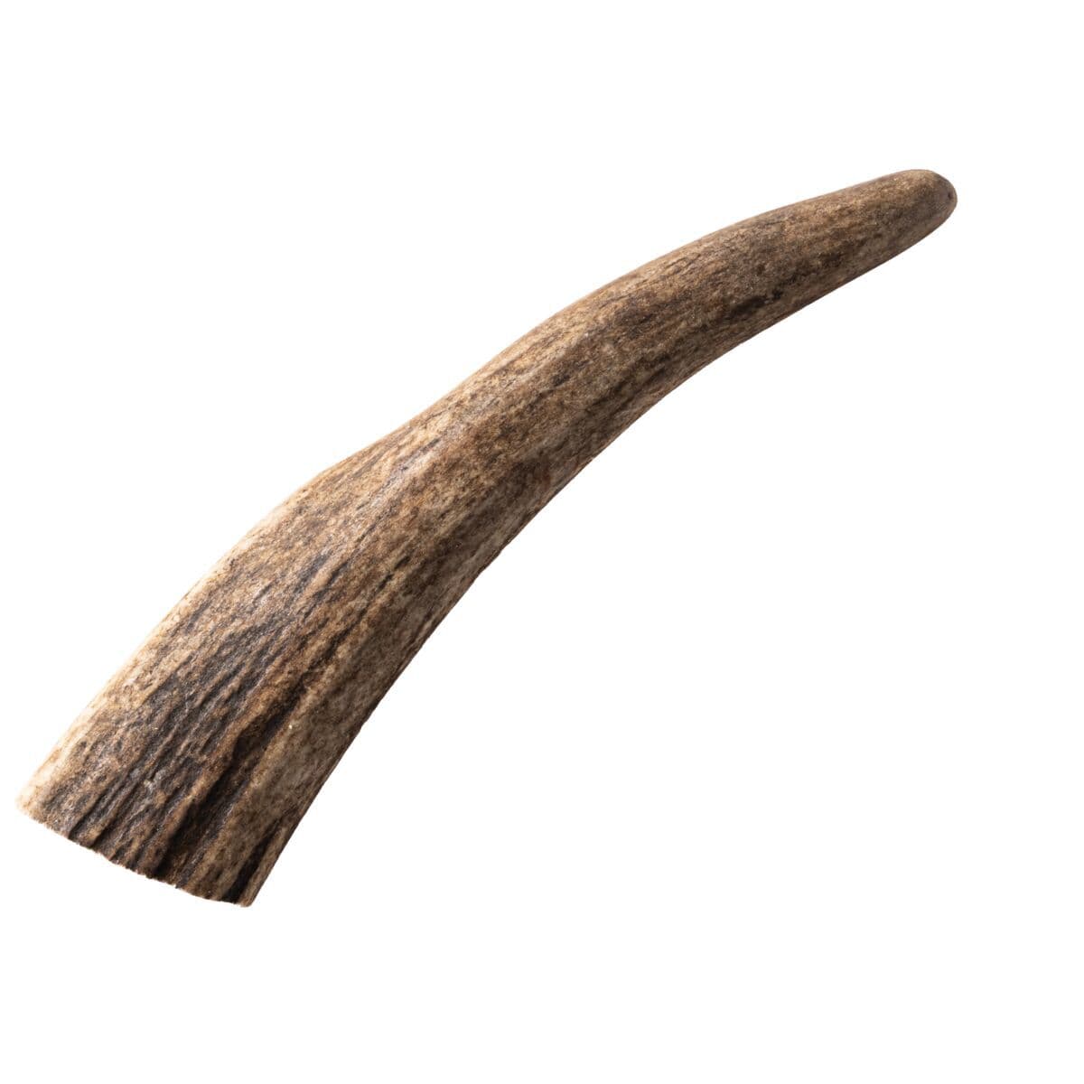Nutriment peuransarvi – Nutriment