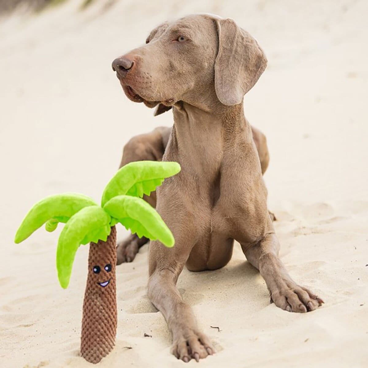 Beeztees Palmu -koiran pehmolelu – Beeztees