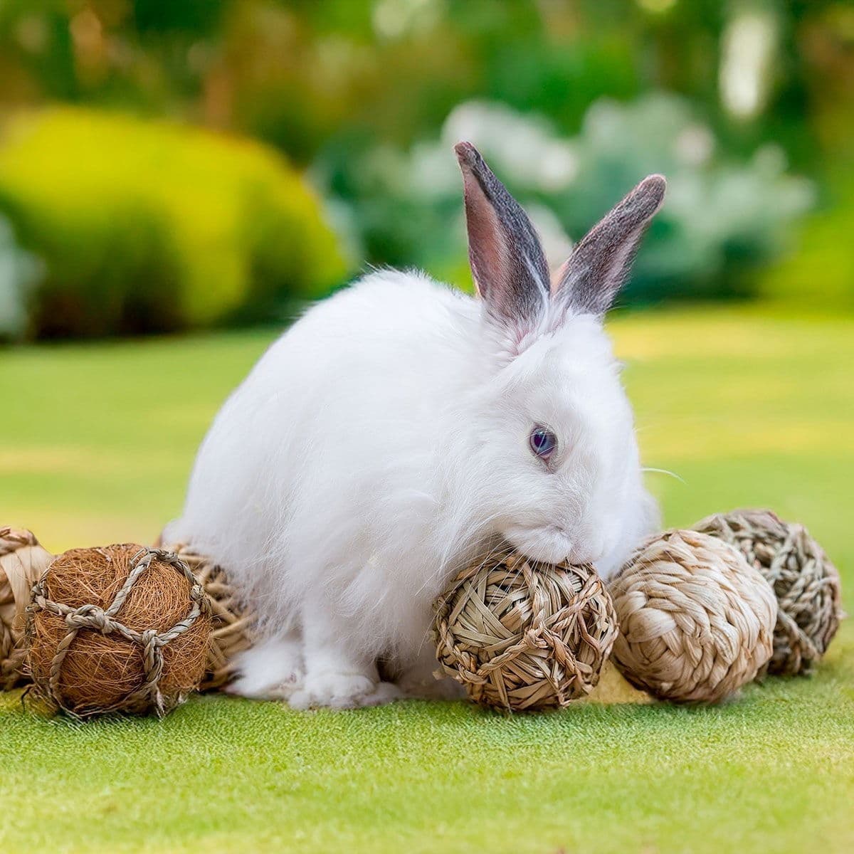 Quapas! Puuhalelulahjalaatikko, 8 kpl – Quapas!