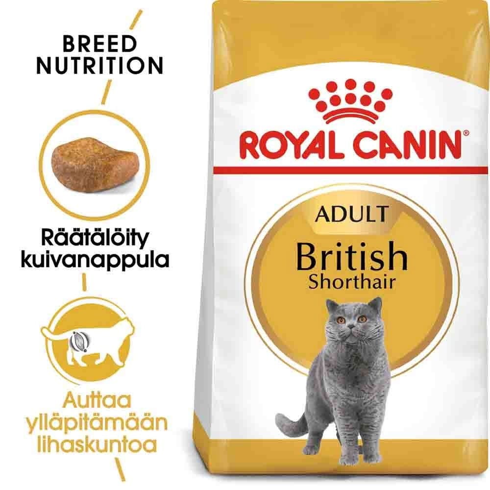 Royal Canin Breed British Shorthair – Royal Canin