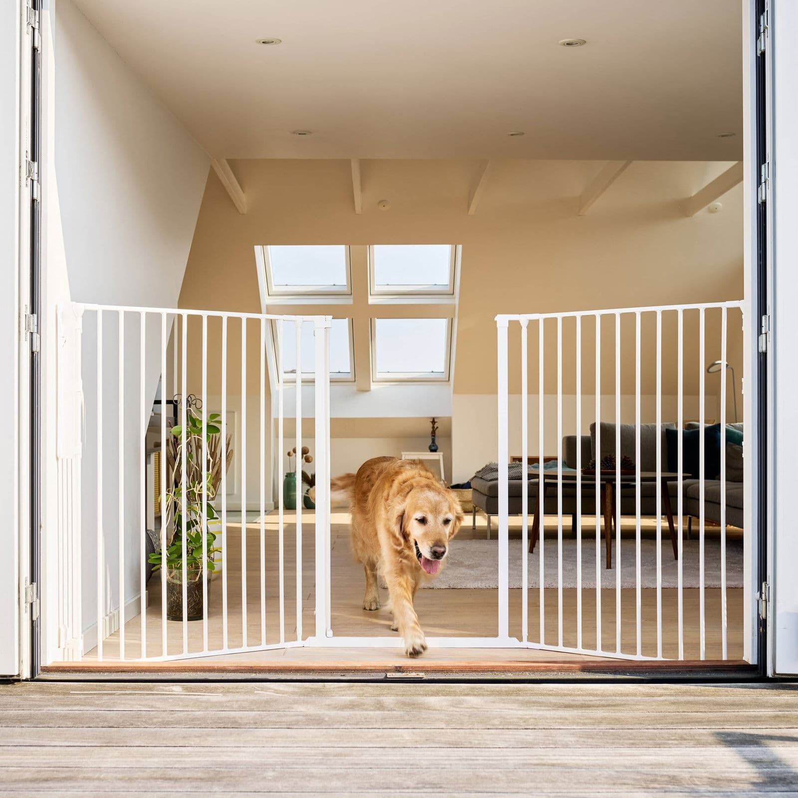 Säädettävä koiraportti DogSpace Rocky extrakorkea 90-221 cm – DogSpace