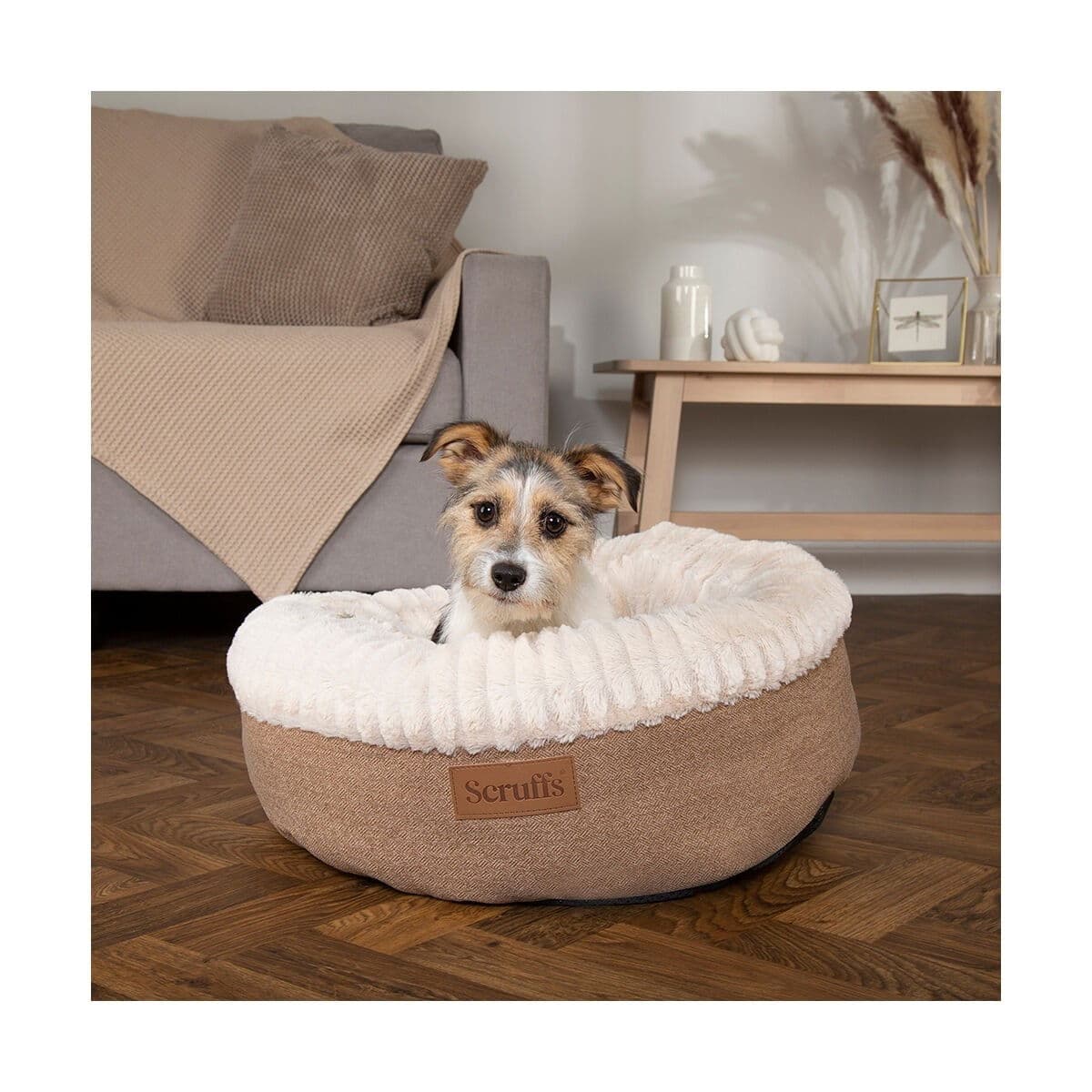 Donitsipeti Scruffs Ellen, vaaleanruskea – Scruffs