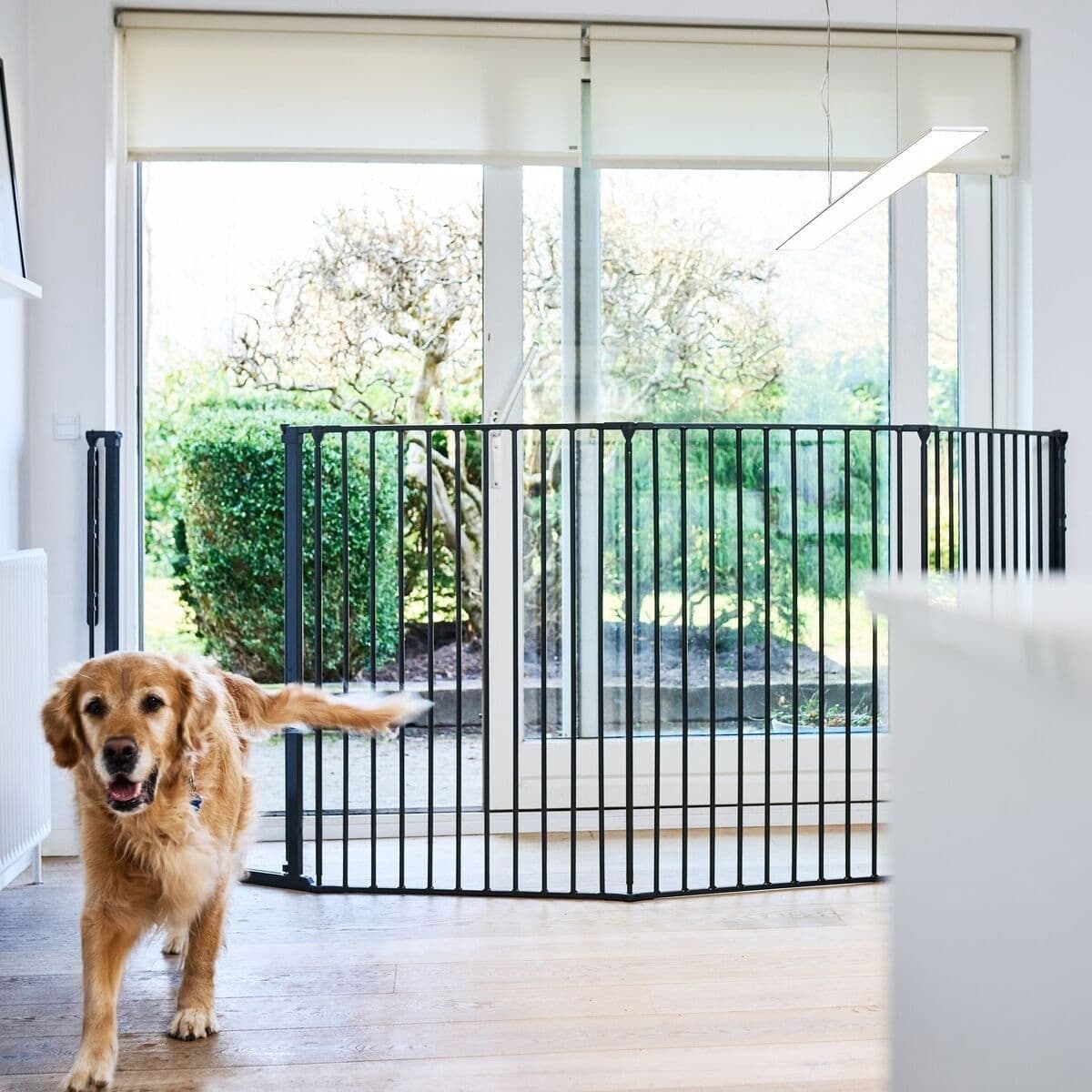 Korkea ja säädettävä koiraportti DogSpace Rocky, musta 90-221 x 104,5 cm – DogSpace