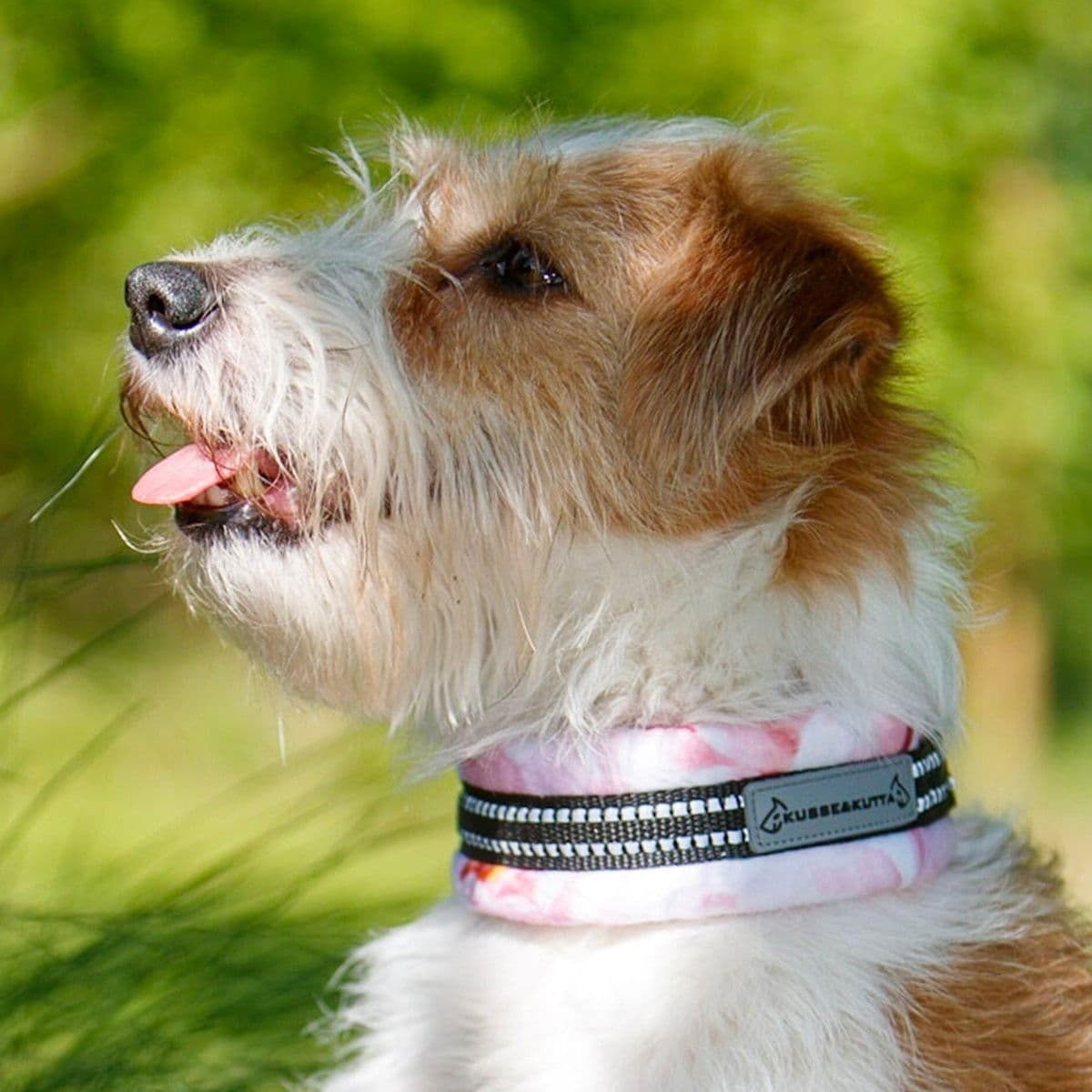 Kusse & Kutta puolikiristävä panta, hento ruusu – Kusse & Kutta