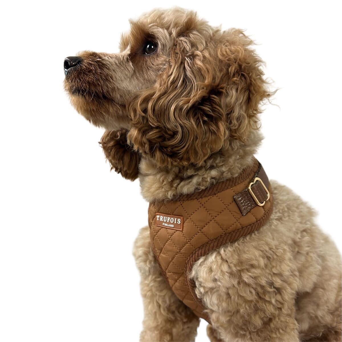 Trufois Lite -koiran valjaat, Macchiato Brown – Trufois