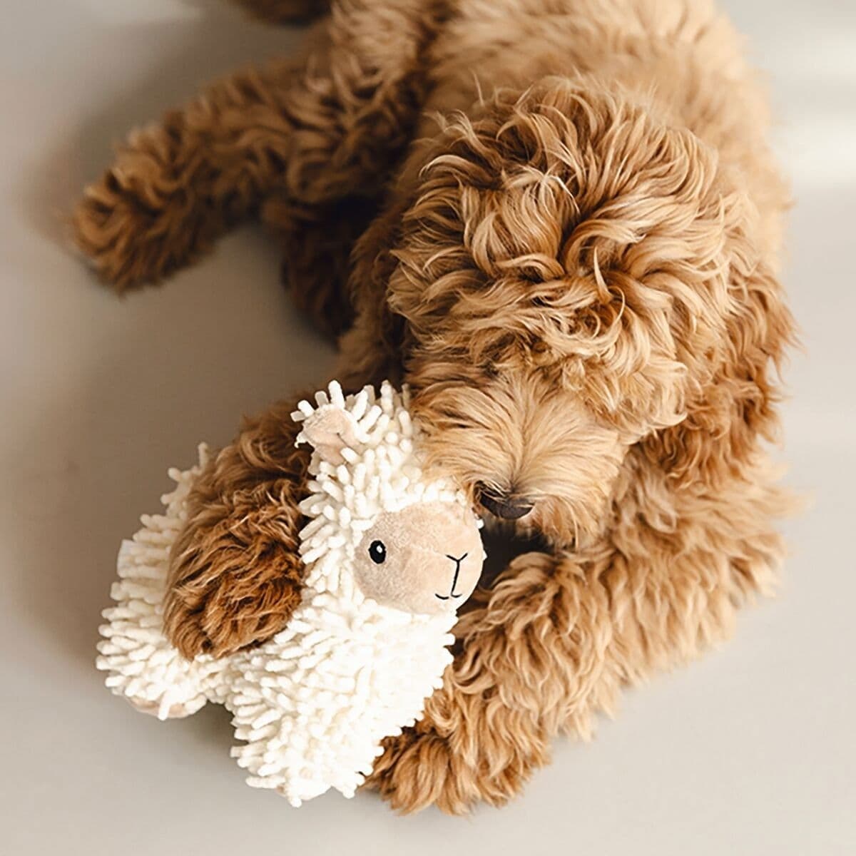 Beeztees Eco Sheep Jovi – Beeztees