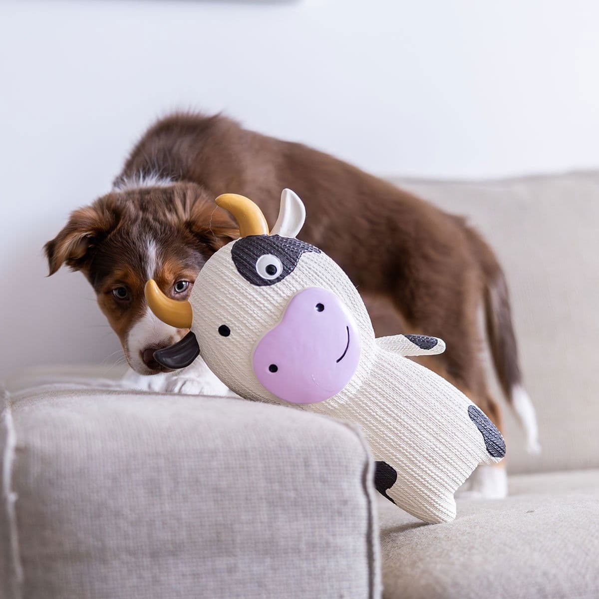 Quapas! Lateksilehmä XXL – Quapas!