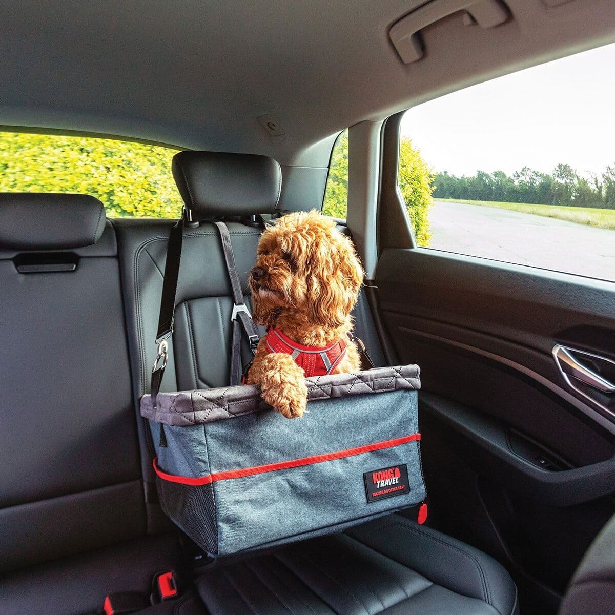 Koiran korotettu autoistuin KONG Ultimate – Kong