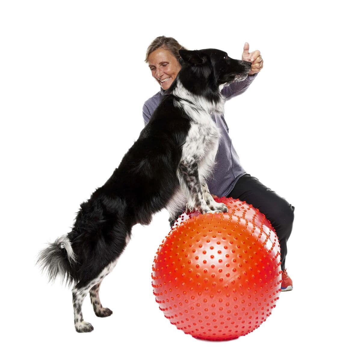 FitPaws Trax Peanut punainen, 50 x 50 x 20 cm – FitPaws