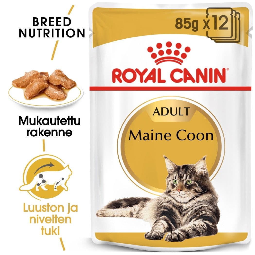 Royal Canin Maine Coon Wet 12 x 85 g – Royal Canin