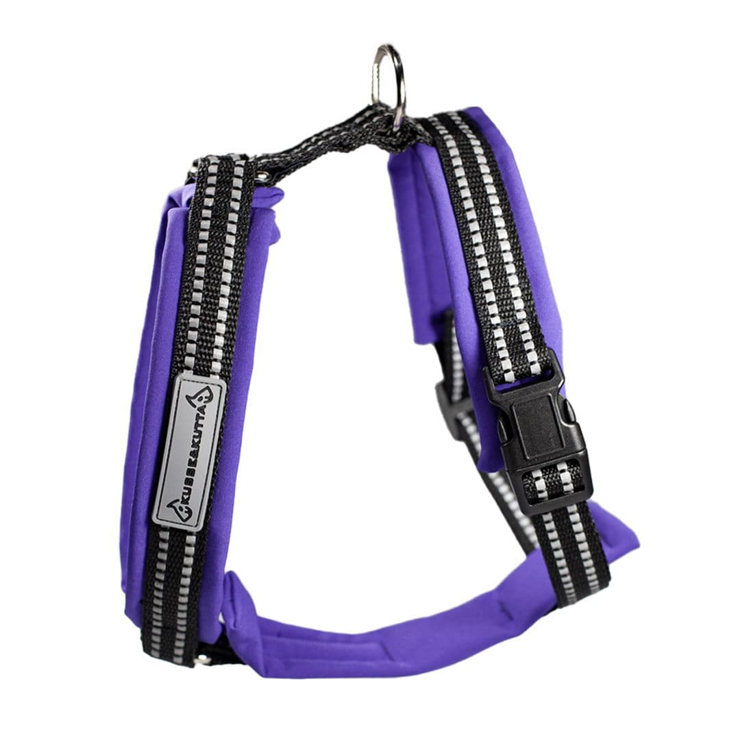 Kusse&Kutta-koiran valjaat softshell-pehmusteella, violetti – Kusse & Kutta