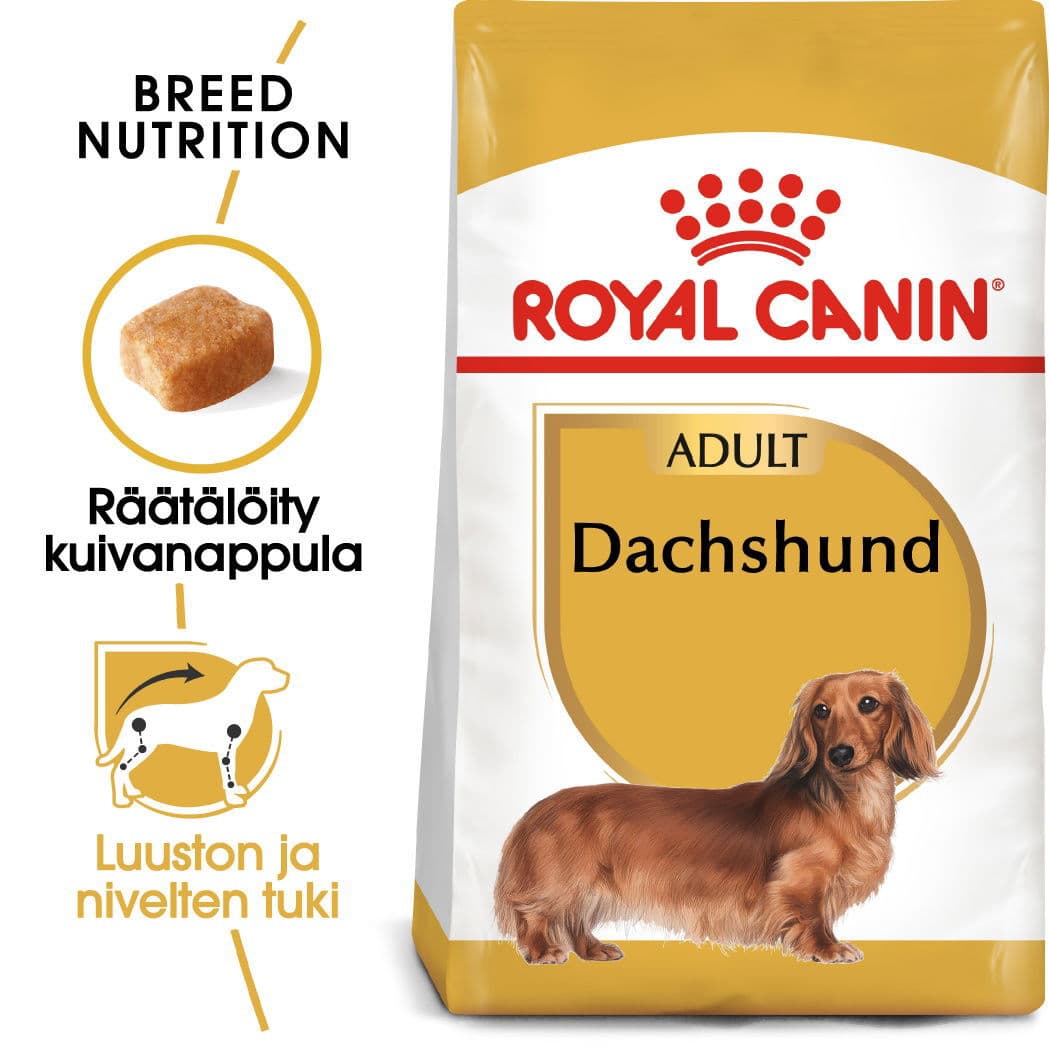Royal Canin Dachshund Adult – Royal Canin