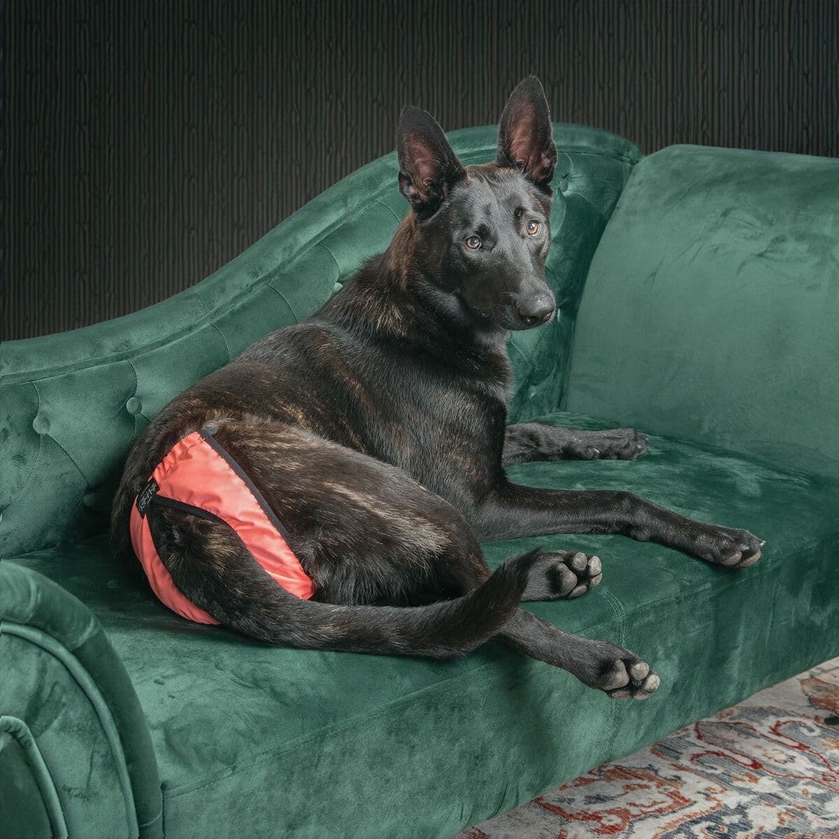 RuttuNuttu juoksupöksyt kuminauhalla peachypink – RuttuNuttu