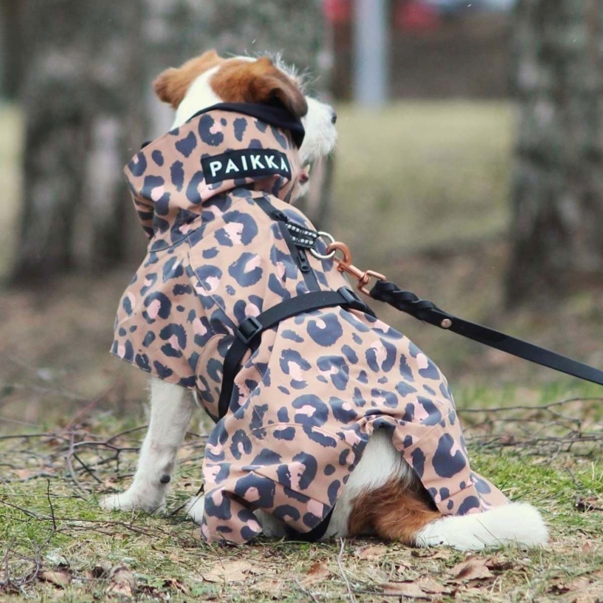 PAIKKA Visibility Raincoat Lite -koiran sadetakki, leo – PAIKKA